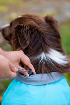 Preview: Kuori Pomppa Graphite